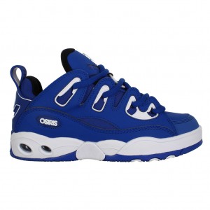 Blue / White / Blue Osiris D3 E Women Sneakers | OS0985267